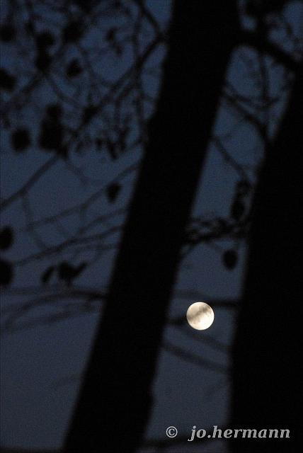 Mond im Oktober-004.jpg